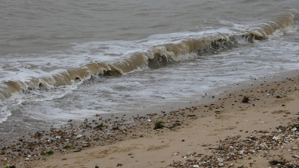 Beach at West Mersea, Essex, England 7