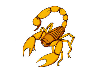 Illustration of a yellow scorpion with its stinger threatening to attack