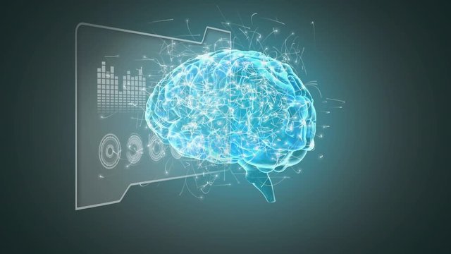 Brain with neurons