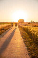 Radfahrer im Sonnenuntergang im Sommer