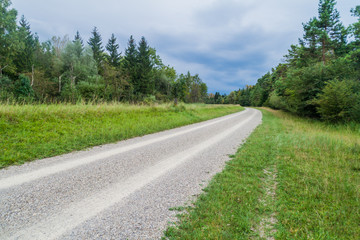 Dirt road in the Stadtwald (City Forest) in Augsburg, Germany