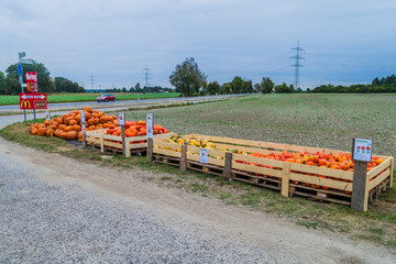 Fototapeta na wymiar AUGSBURG, GERMANY - SEPTEMBER 16, 2016: Various pumpkins for self service sale at the field near Augsburg, Germany