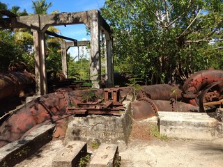 ruins of the temple