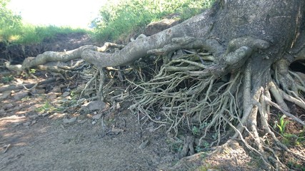 by the res