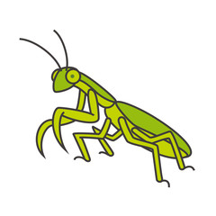 カマキリ