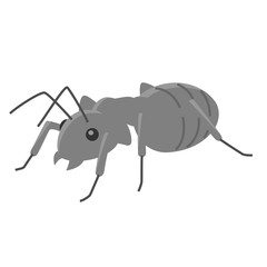 アリ