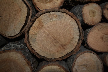 Naklejka premium log wood pile