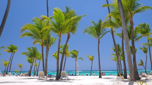 Caribbean seashore with coconut palm trees and sunbeds. Summer holidays. Travel destination