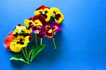 bouquet of flowers on white background