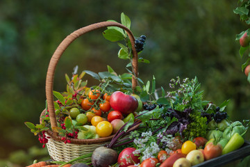 Still life of fresh vegetables in the fresh air on a natural green background