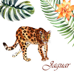 Watercolor jaguar isolated on a white background © Елизавета Порошина