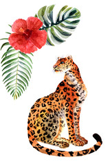 Watercolor jaguar isolated on a white background