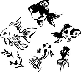 金魚
