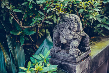 Fototapeta na wymiar Wuhou Temple (Wu Hou Ci) and Lion Guardian Statue in old city of Chengdu, Sichuan Province, China. Wuhou Temple Memorial Temple of Marquis Wu is dedicated to Zhuge Liang
