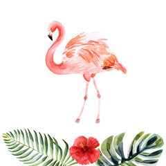 Watercolor pink flamingo isolated on a white background