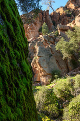 Moss Covers Boulder with Rock Formations in Pinnacles National Park