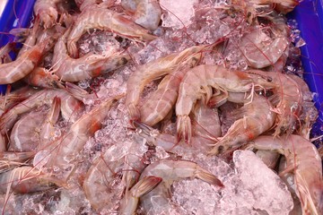 fresh shrimp at street food