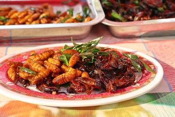 Fried insect at street food