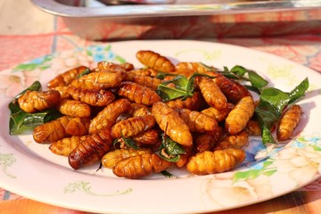Fried insect at street food