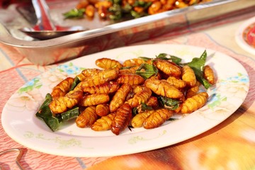 Fried insect at street food