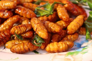 Fried insect at street food