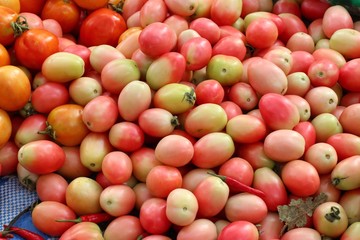 fresh tomatoes at the market