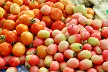 fresh tomatoes at the market