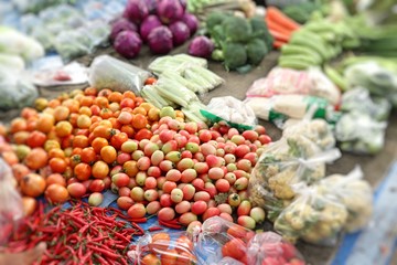Shops selling vegetables at the market