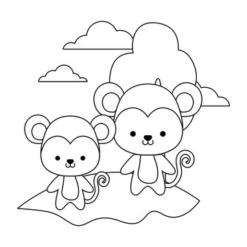 cute monkeys animal in landscape