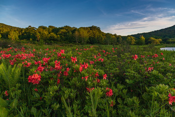 Towada Hachimantai National Park, Hachimantai