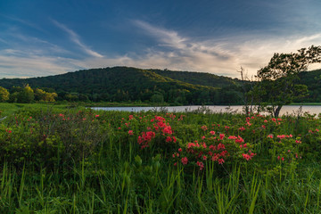 Towada Hachimantai National Park, Hachimantai