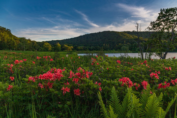 Towada Hachimantai National Park, Hachimantai