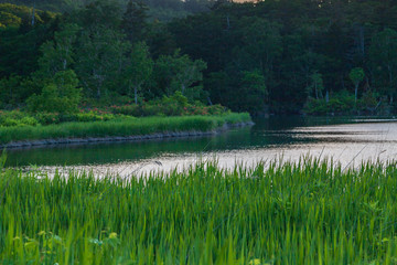 Towada Hachimantai National Park, Hachimantai