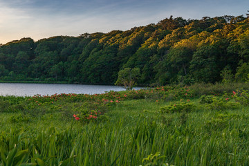 Towada Hachimantai National Park, Hachimantai
