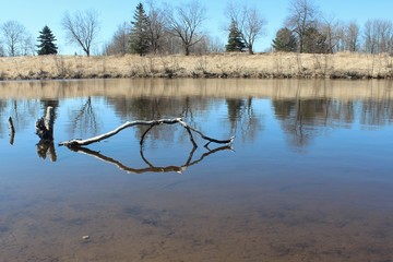 Driftwood and its reflection make an eye   for the river