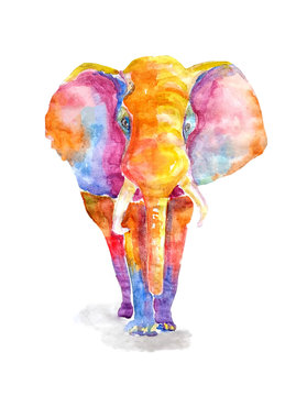 Watercolor colorful elephant on a white background. Rainbow bright multicolored big adult of mammal illustration.
