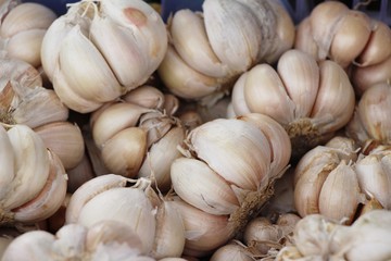 Garlic head for cooking at street food