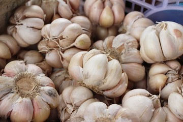 Garlic head for cooking at street food