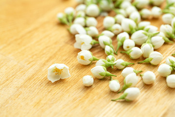 Fototapeta na wymiar Jasmine flower on wooden background. Group of white budded jasmine. 