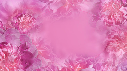 Obraz premium Floral pink background. Flowers afnd petals pink peonies close-up. Greeting card. Place for text. Nature.