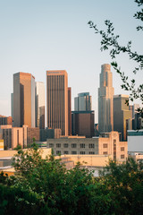 Obraz premium View of the downtown Los Angeles skyline from Vista Hermosa Natural Park