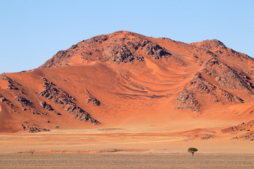 Fototapeta na wymiar Rugged dune landscape, Sossusvlei, Namib desert, Namibia.