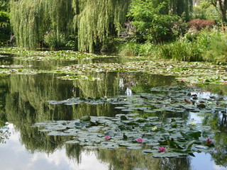 Les jardins de Claude Monet, Giverny, France
