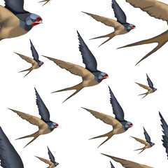 Obraz premium Illustration with a swallow in flight. bird print