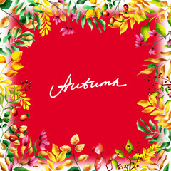 Autumn frame. Red berries and yellow leaves. The bright foliage. Beautiful bright and colorful pattern. Suitable for invitations and cards. 