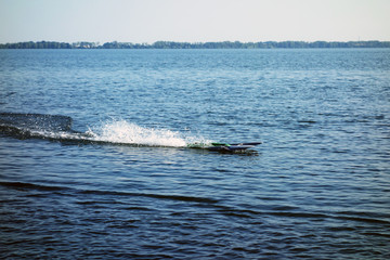 Obraz premium Electric model ship on the lake