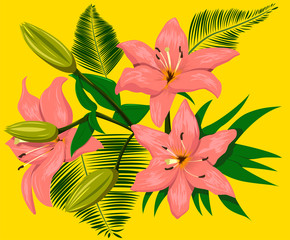 Vector illustration of pink Lily on yellow background