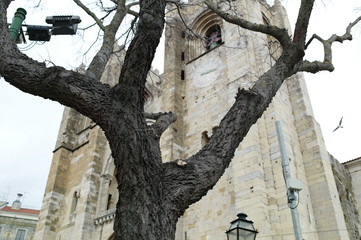 Fototapeta na wymiar detail of cathedral in spain