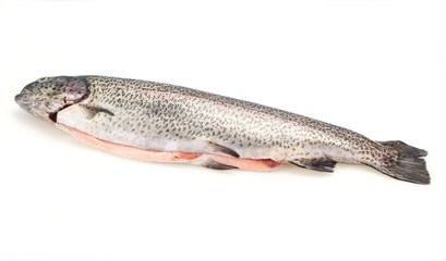 Raw trout fish isolated on white