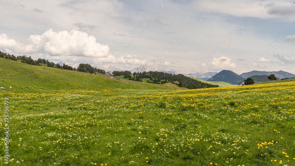 Wall mural mountain landscape taken in France in the Vercors